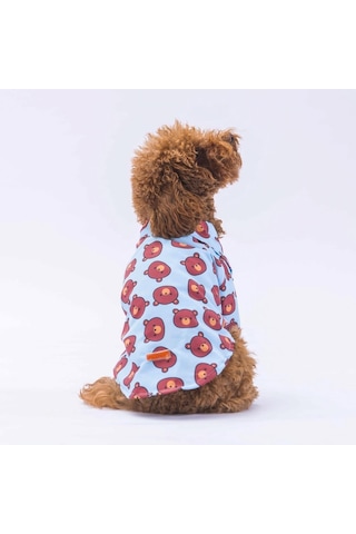 Pawstar Bear Kedi Köpek Gömleği