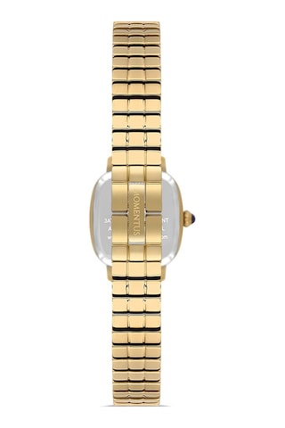 Momentus Women's Classy Cw318g-15sg Altın