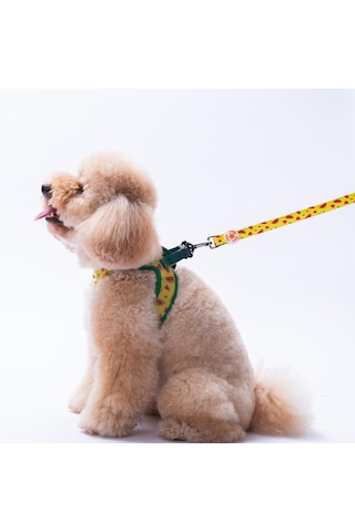 Watermelon Leash Karpuz Desenli Kedi Köpek Sevk & Gezdirme Kayışı Köpek Uzatma Tasması-1,5cm Sarı