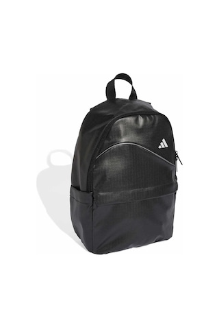 Adidas Black/whıte Adıdas Gl Bp Siyah