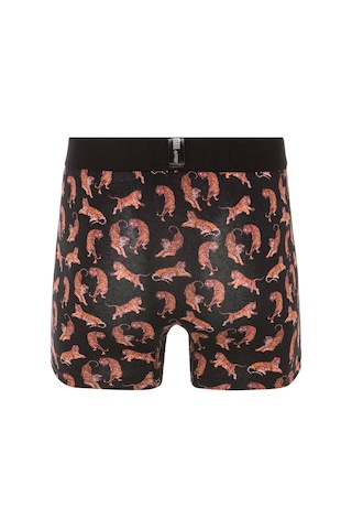 Farm Animals Tigers Desenli Boxer