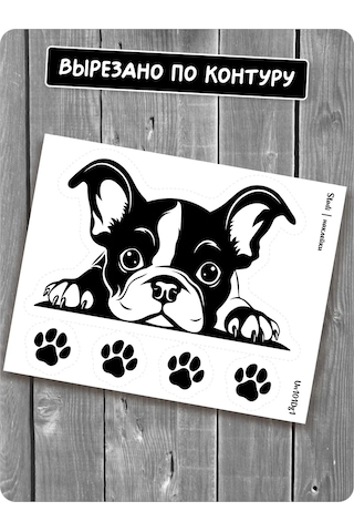 Stadi Dikkat Eden Köpek Etiketi 200702513 Siyah