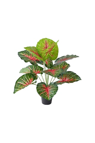 Yapay Çiçek Saksıda Tropik Kızıl Caladium 18 Dal 70 Cm Salon Çiçeği Yapay Bitki