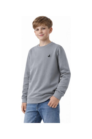 Baglan Erkek Çocuk Sweatshirt Bgl-st05228 Gri