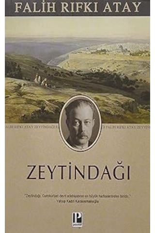 Sıfır Noktasındaki Kadın + One Piece 57. Cilt + Zeytindağı + 35 Kitap Set