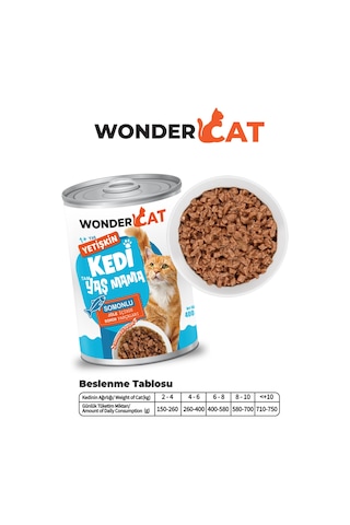 Wondercat Somonlu Yetişkin Kedi Konservesi 400gr X 12 Adet