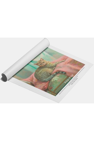 Paw-pow No:13 Art Print