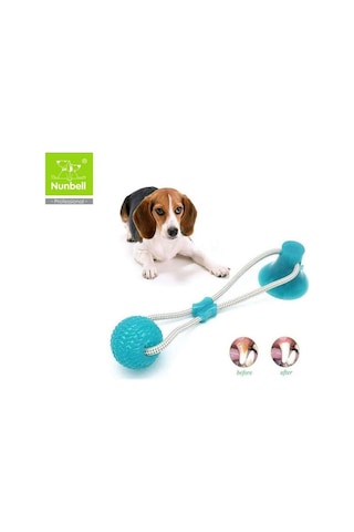Nunbell Köpek Vantuzlu DişTopu Çok Renkli