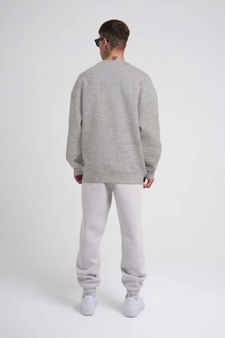 Barlashive Erkek Bisikilet Yaka 3 İplik Pamuklu Sweatshirt - Gri Çok Renkli