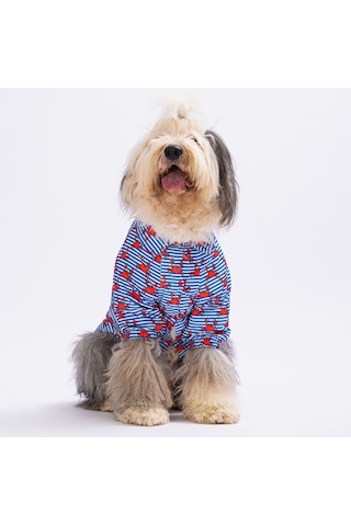 Pawstar Crabs Büyük Köpek Gömleği