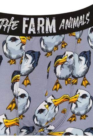 Farm Animals Seagull Desenli Boxer Çok Renkli