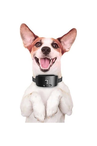 Doggie Havlama Önleyici Eğitim Tasması Siyah