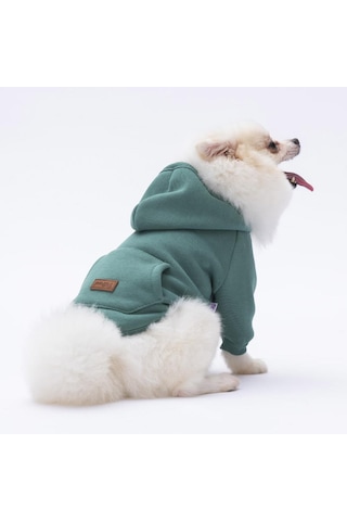 Pettrend Çağla Yeşil Kanguru Cepli Kedi Köpek Hoodie Sweatshirt