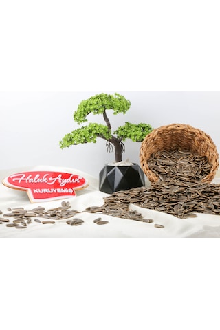 Haluk Aydın Kuruyemiş Kavrulmuş Yerli Tuzsuz Siyah Ay Çekirdeği 1 KG