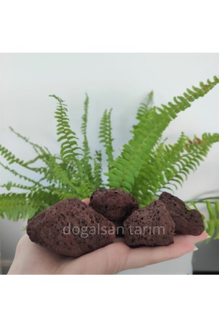 4 Kg 5-10 Cm Akvaryum Taşı Teraryum Taşı Filtre Taş Pomza Taşı