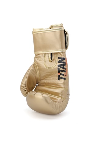 Titan Sport Gold Serisi İşlemeli Boks Eldiveni 12 Oz Çok Renkli