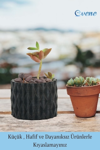 Mini Çiçek Saksı Küçük Sukulent Siyah Kaktüs Saksısı 3'lü Set Baklava Çizgili Model