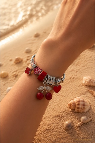 Stainless Steel Charm Gümüş Ayarlanabilir Renkli Çelik Bileklik