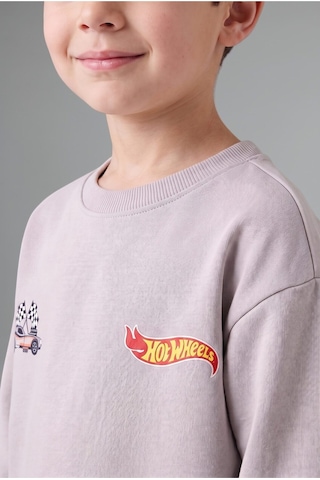 Defacto Hot Wheels Lisanslı Baskılı Bisiklet Yaka Basic Sweatshirt Ve Jogger Eşofman Altı 2li Takım Erkek Bebek I0151a526wngr91 Gri-gr91