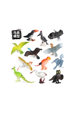 Çocuklar İçin Bilişsel Oyuncaklar Simülasyon Kuş Hayvan Modeli Kuş Ağaçkakan Papağan Baykuş Tavus Kuşu Süs Seti Dt Katı Mini Kuşlar 12 Model