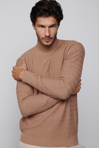 Tudors Slim Fit Dar Kesim Yarım Balıkçı Yaka Desenli Tüylenmeyen Bej Erkek Triko Kazak-29582-bej Bej