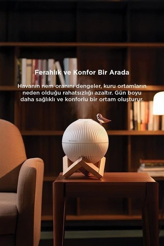 Premium Estetik Salon Süs H13 Kuş Figürlü Ahşap Standlı Hava