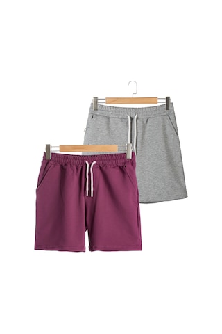 Terapi Men 2'li Erkek Kırçıllı Gri - Mürdüm Basic Regular Fit Şort & Bermuda Kırçıllı Gri-mürdüm