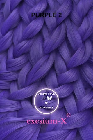X-pression Afrika Örgüsü Ve Rasta Için Sentetik Saç 100gr-purple2 Orta Mor