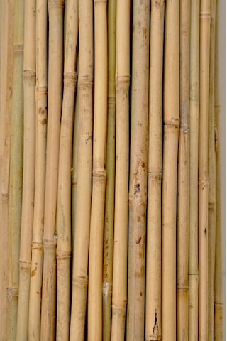 Bambu Çubuk Bitki Destek Çubuğu 10 Adet 20-22 Mm X 180 Cm