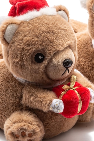 Twigy Regalo Çocuk Hayvanlı Panduf Kahverengi 30/35 CC0627A Kahverengi