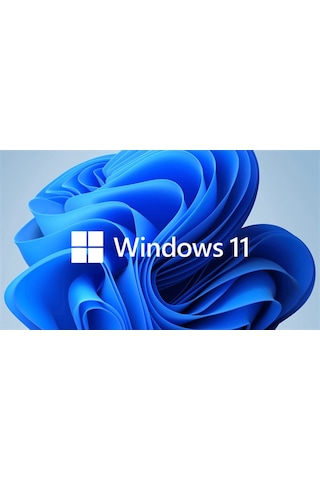 Prg_Is-Ms Windows 11 Home Oem 64Bit Tr Kw9-00660 (556302072)