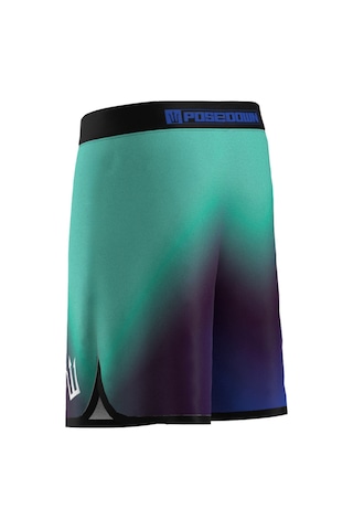 Pose I Down Aurora Veil Boardshort Erkek Fizik Ve Deniz Şortu Mavi