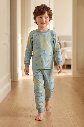 Zuzunga Erkek Çocuk Dinozor Ve Safari Hayvanları Desenli Uzun Kollu Alt Üst Pijama Takımı Açık Yeşil