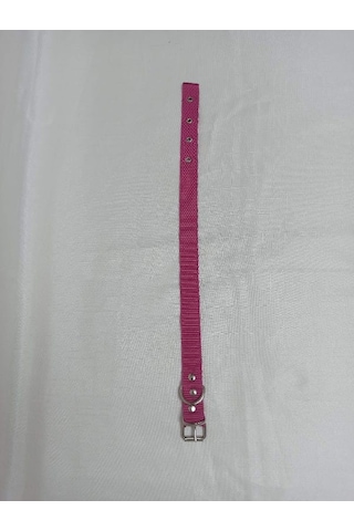 Küçük Irk Köpek Tasması Boy 50 Cm En 2.5 Cm Pembe
