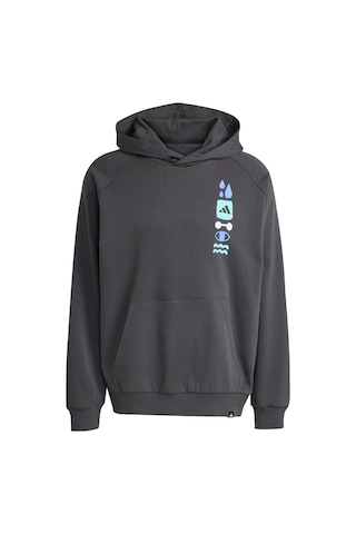 Adidas Gfx Hoodıe Siyah Erkek Sweatshirt Siyah-saks