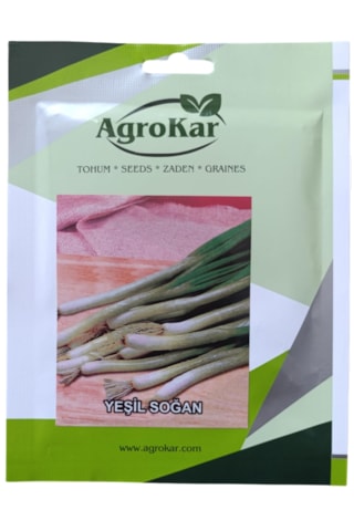Yeşil Soğan Tohumu 10 Gr 1 Paket