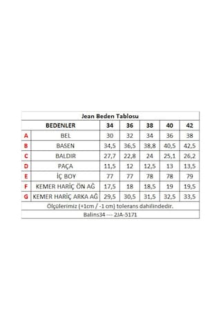 Kadın Kot Pantolon Gri Çok Renkli
