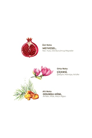 Mey İthalat Kadın Roll On Deodorant 75 Ml Floral
