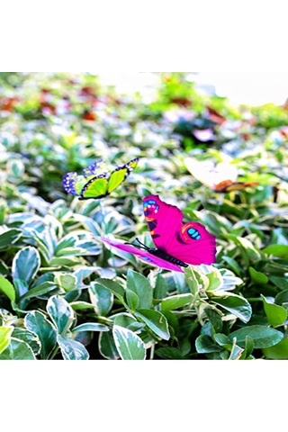 Yunboo 12cm Pvc Simülasyon Kelebekler, Bahçe Ve Bitki Süsleri, Rüzgarla Hareket Eden, 100 Adet, Renk Rastgele, Dayanıklı Ve Su Geçirmez