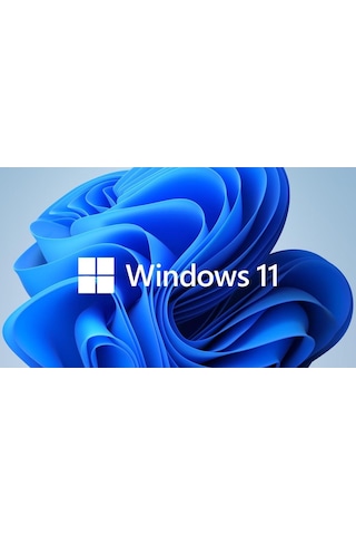 MS Windows 11 Pro FQC-10556 64 Bit TR (Oem)