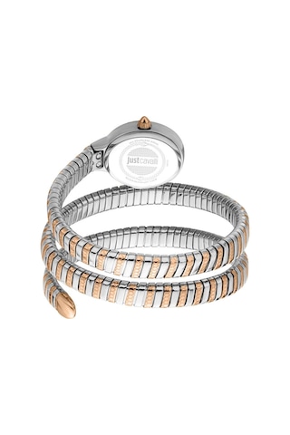 Just Cavallı Jc1l269m0065 Kadın Kol Saati