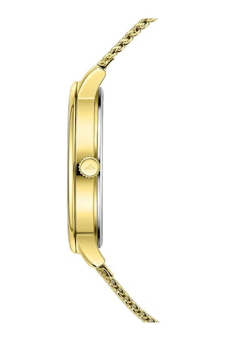 Roche Montre Rmg6002-07 Erkek Kol Saati Altın
