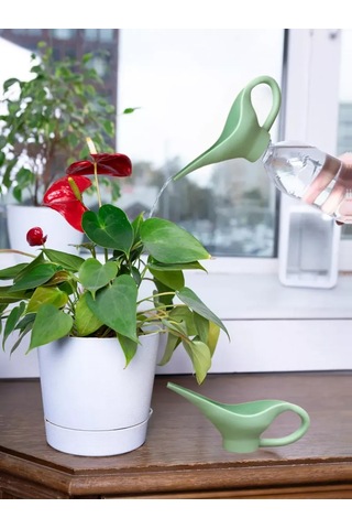 Arrıchi İç Mekan Çiçekleri İçin Sulama Kasesi 224342131