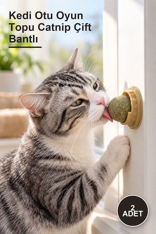 2 Adet Kedi Otu Oyun Topu Catnip Çift Bantlı