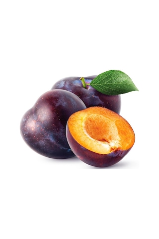 3 Yaş Tüplü Aneglino Anjelika Japon Eriği Fidanı Boy 150cm+