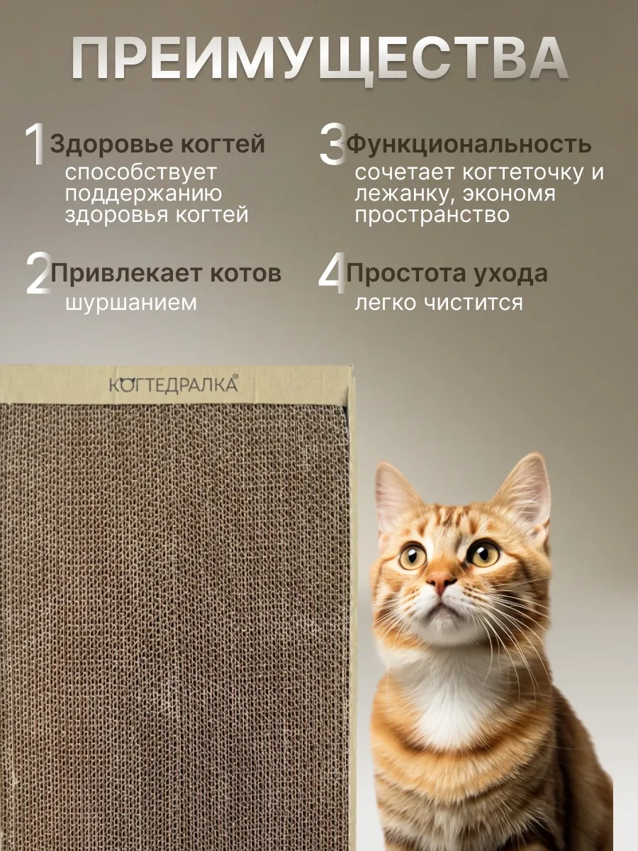 Kogtedralka Karton Tırmalama Tahtası Kedi Ve Köpekler İçin Oyuncaklardan Biridir. 272968074