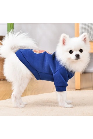 Kedi Ve Köpek İçin Ayıcıklı Mavi Sweatshirt