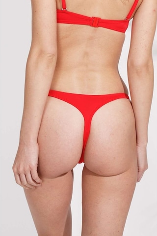 U.S. Polo Assn. Kadın Kırmızı String Bikini Alt 21513