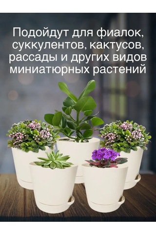 Interm Menekşeler, Sukulentler Ve Kaktüsler İçin Küçük Çiçek Saksısı 52390371