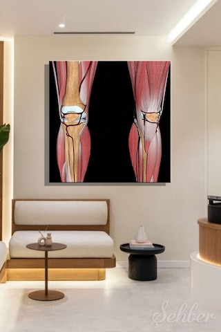 Diz Ekleminin Anatomisini Kaslar Kemikler Arterler Üzerinde Gösteren 3 D Tıbbi İllüstrasyon 3504